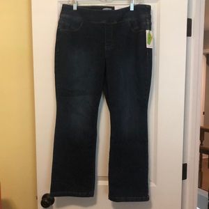 NWT Westbound Boot Cut Stretch Denim